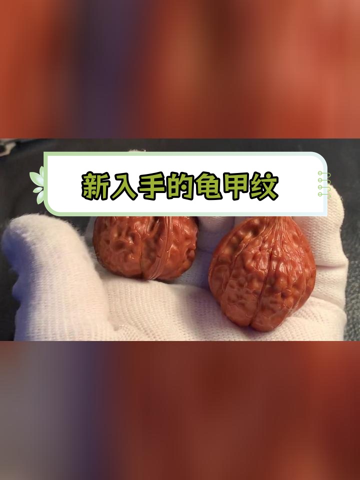 龟甲纹狮子头图片