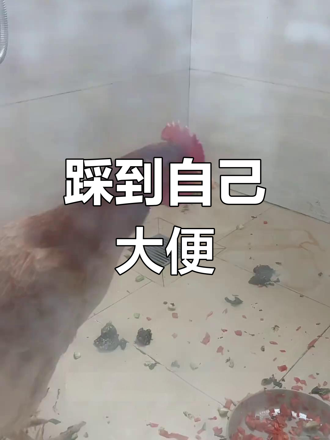 一脚踩到自己的屎,竟然发生了这种事