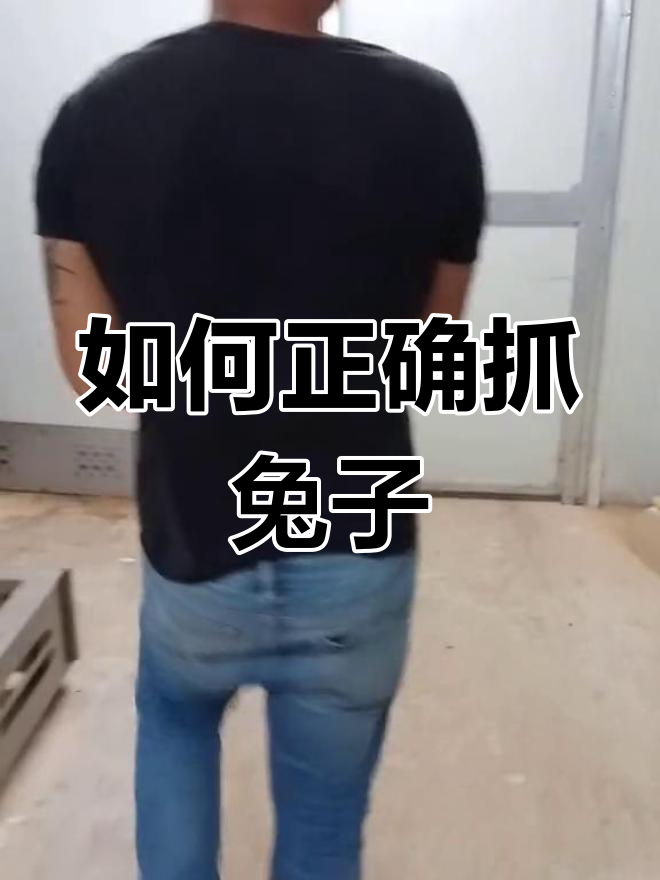 正确抓兔子方法,避免提耳朵