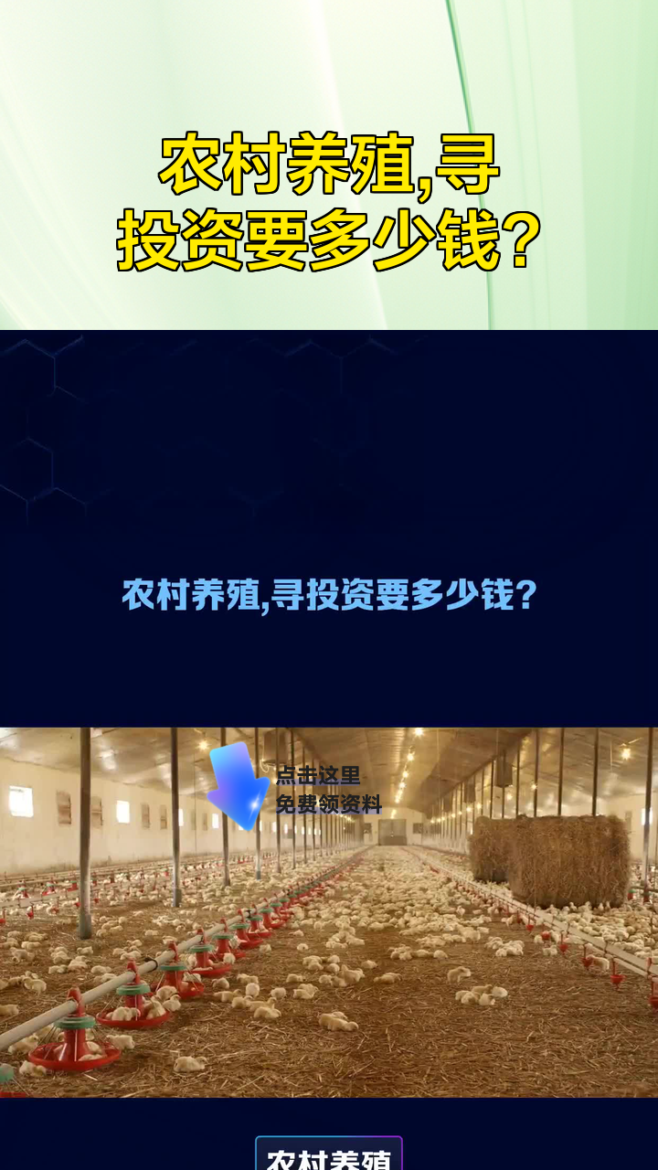 回本最快的养殖业农村投资什么(2021年农民养殖什么投资小,利润高)