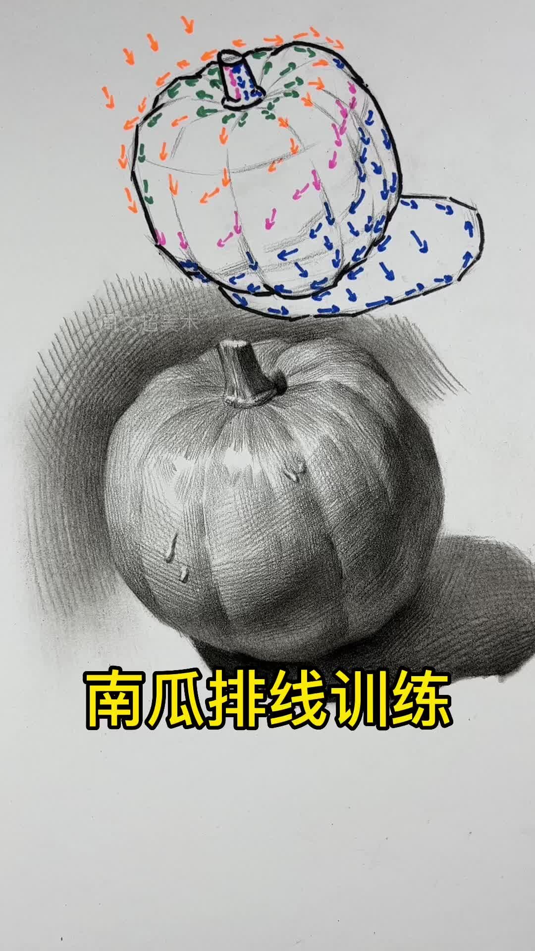 素描南瓜排线训练