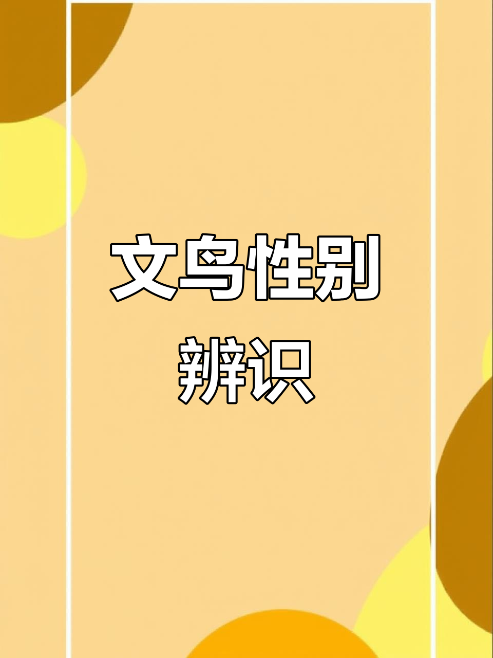 白文鸟公母辨别,轻松区分性别差异