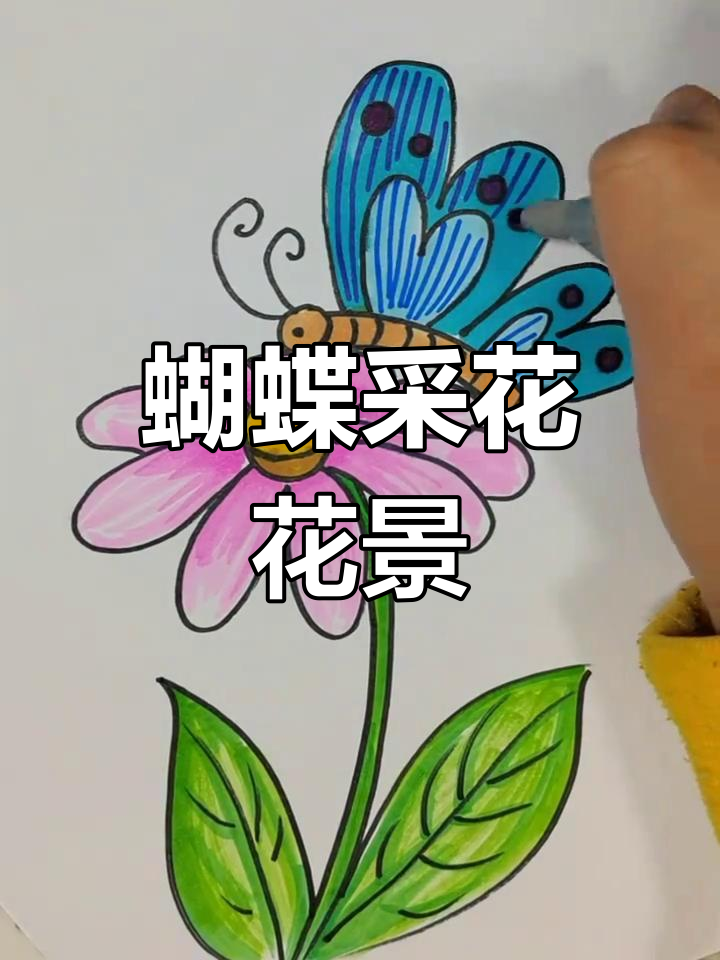 蝴蝶飞舞花间,春日美景尽显