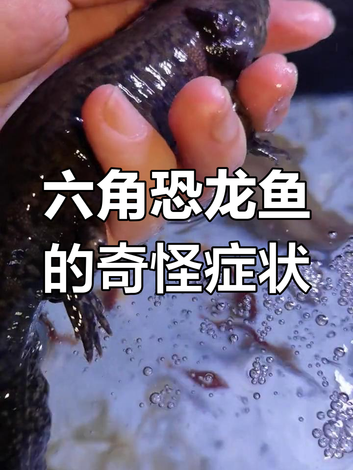 为什么怕鱼