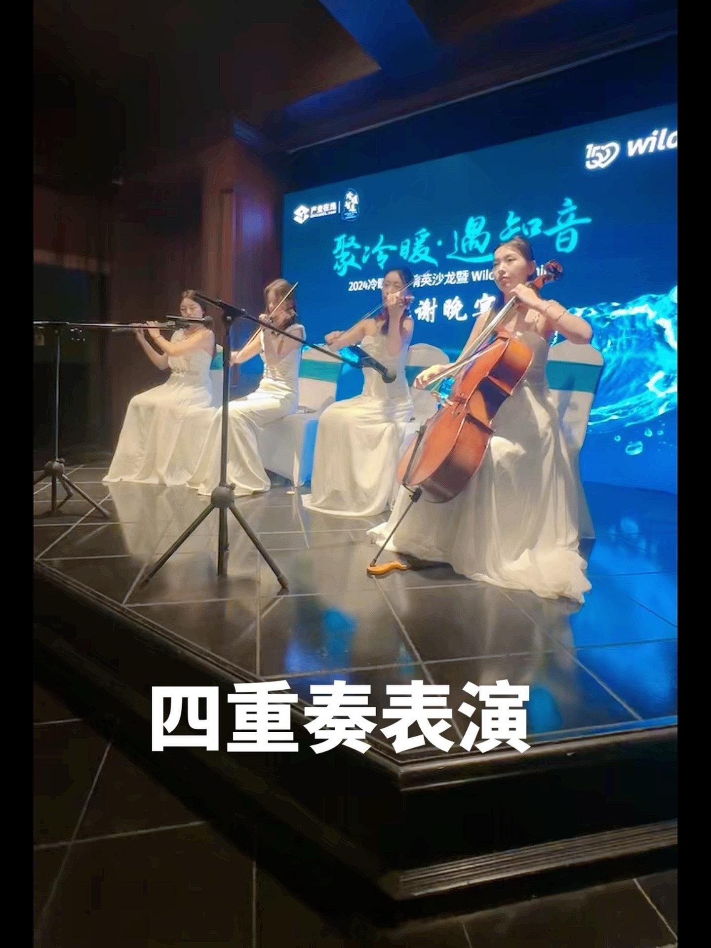 四重奏表演 乐器演奏 舞台演艺 器乐合奏 民乐 四重奏女团