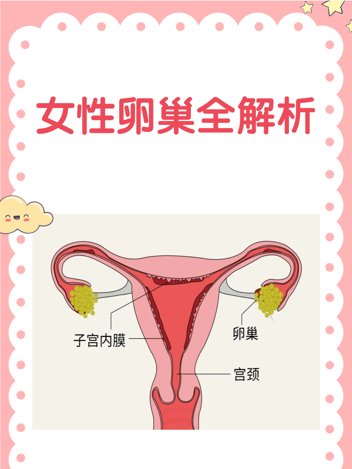 卵巢的秘密花园,女性必知的健康宝典!