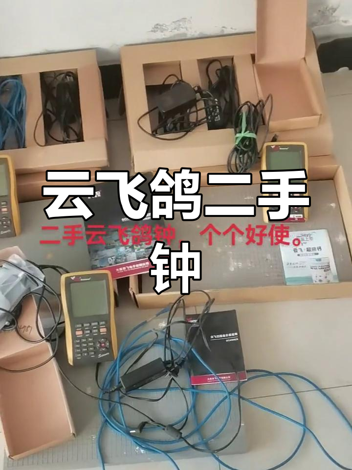 电子鸽钟价格图片大全图片