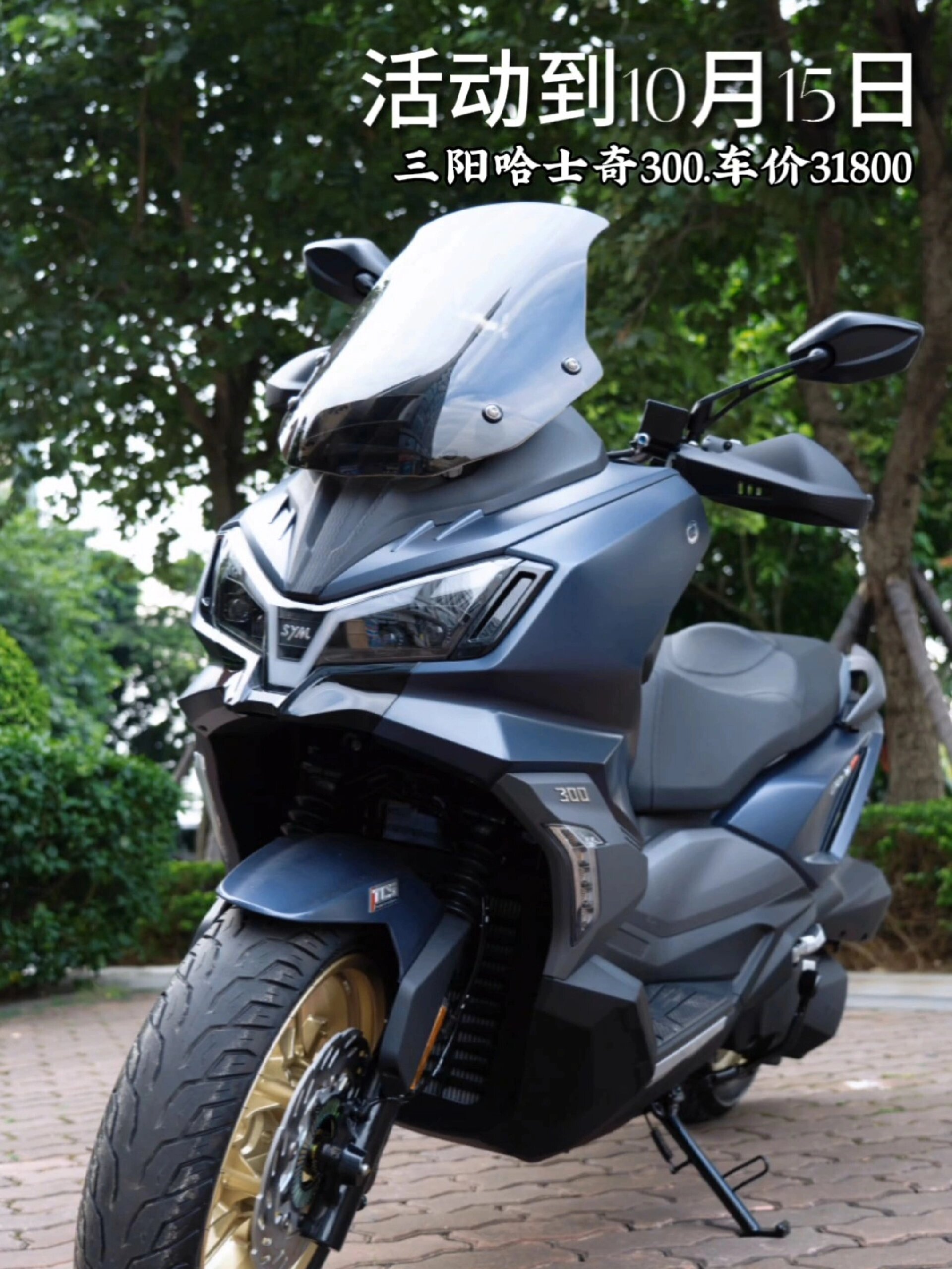三阳husky哈士奇300adv