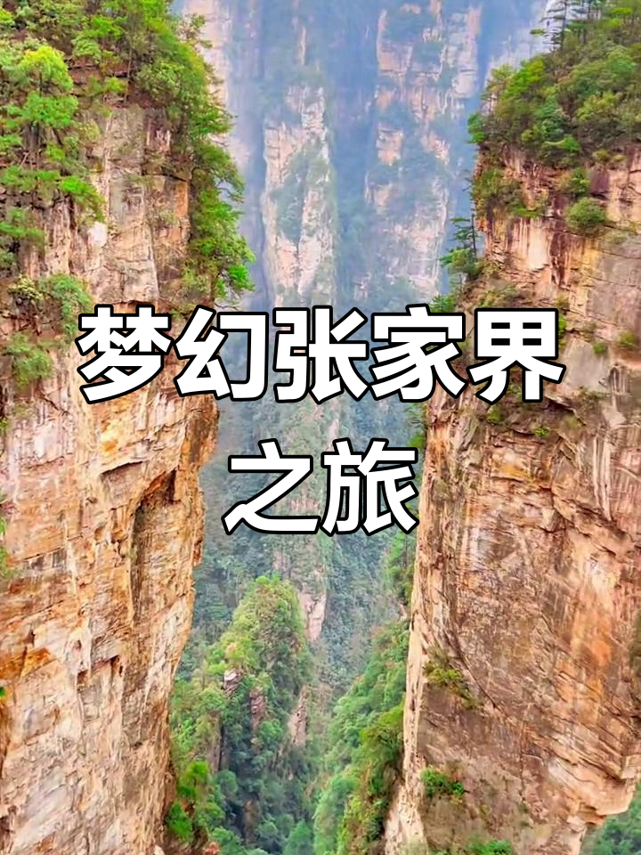 张家界阿凡达悬浮山图片