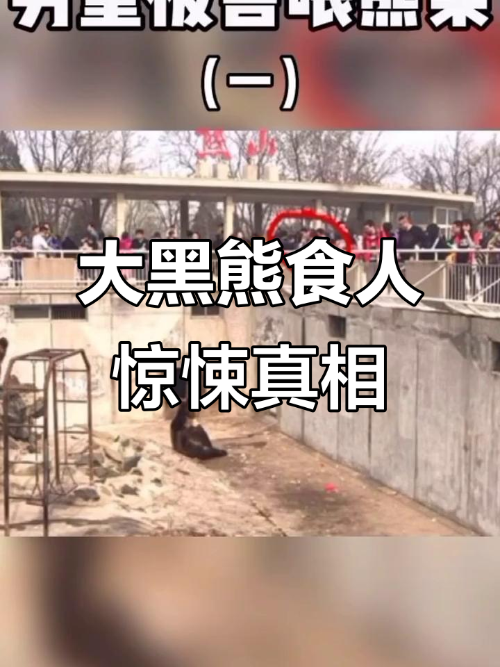 山西长治西山公园大黑熊吃人事件,尸体惨不忍睹