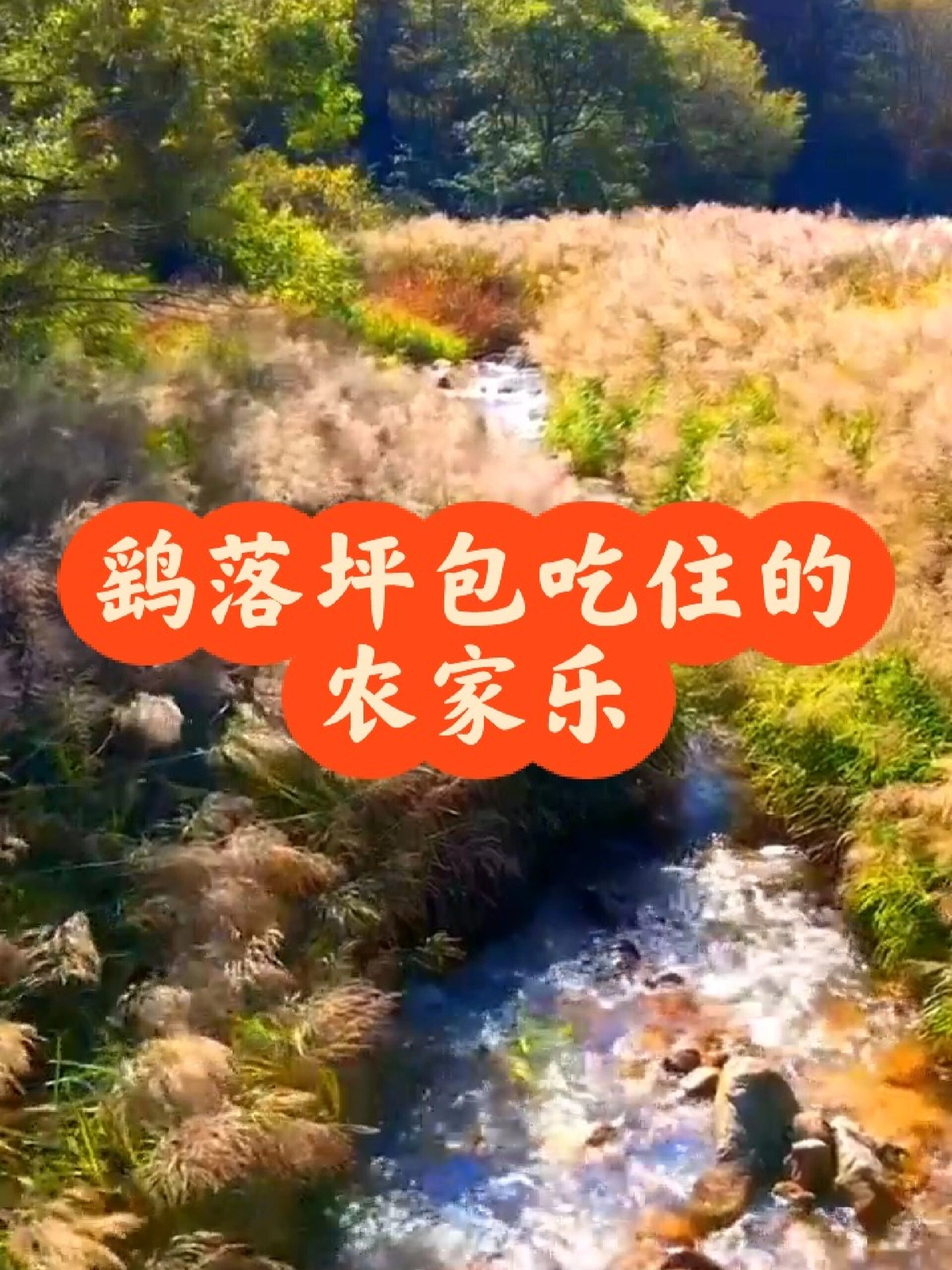 鹞落坪包吃住的农家乐