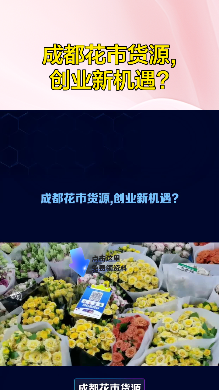 成都有啥货源网站啊_成都货源哪里找