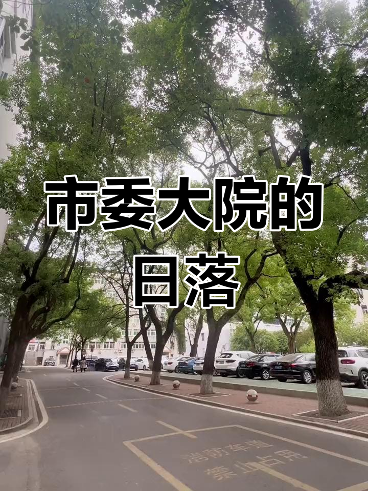 市委大院的美景与日落