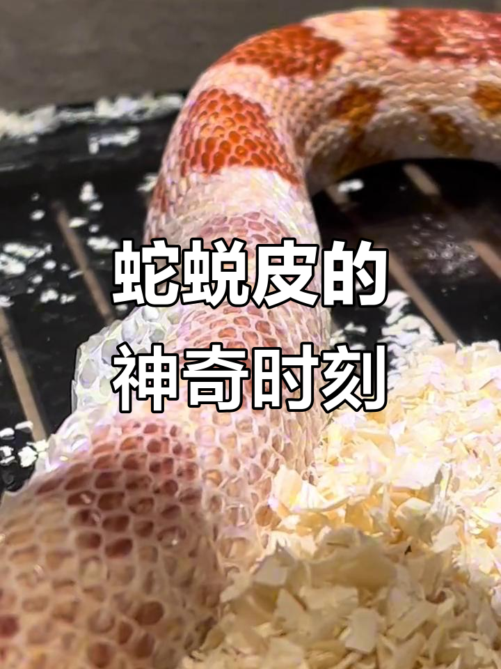 720_960竖版 竖屏gif 动态图 动图