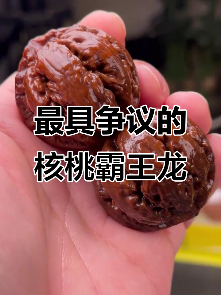 去年争议最大的核桃霸王龙,原声试玩体验