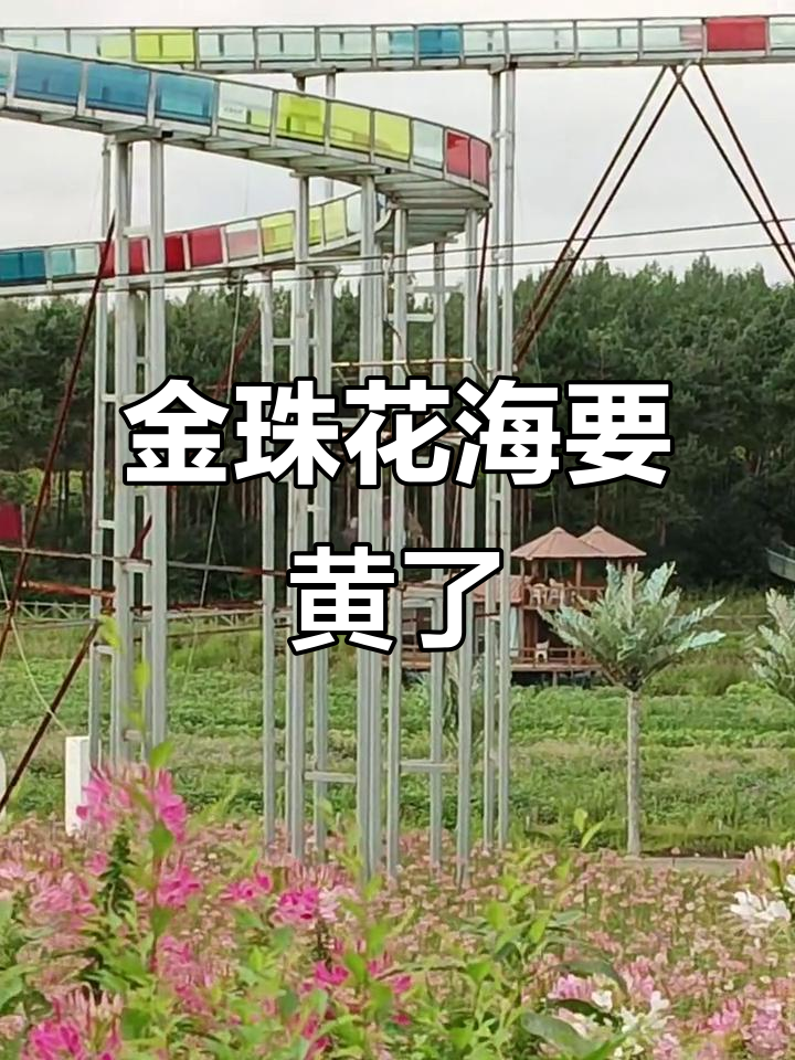 吉林金珠花海关闭,缆车停运30元门票浪费