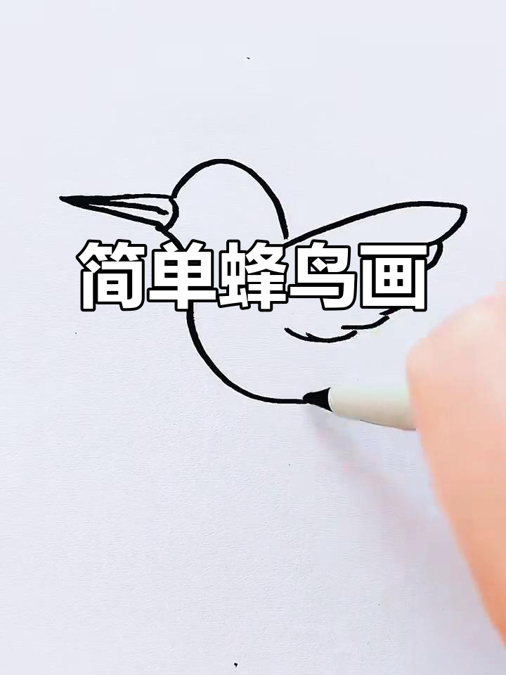 蜂鸟简笔画,春天里的美好邂逅