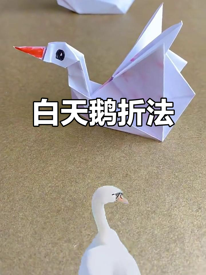 白天鹅折纸教程,简单步骤教你轻松学会