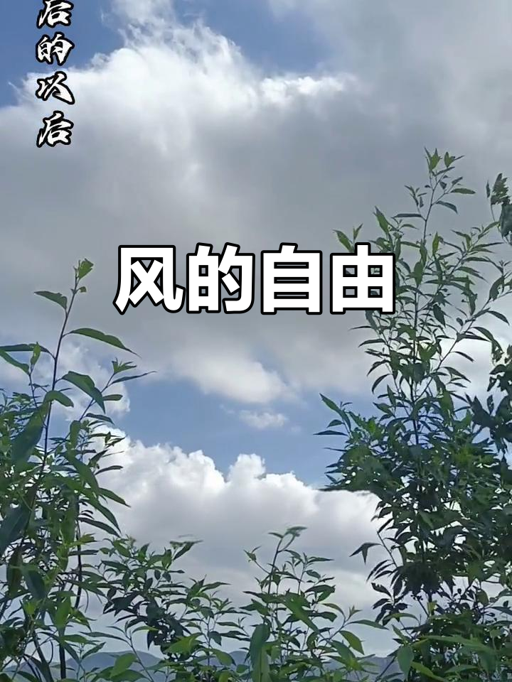 风与云,自由相随,彼此倾心