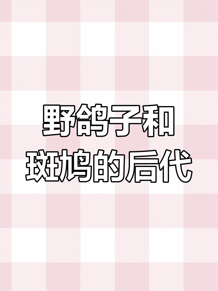 野鸽子与山斑鸠杂交,后代长什么样