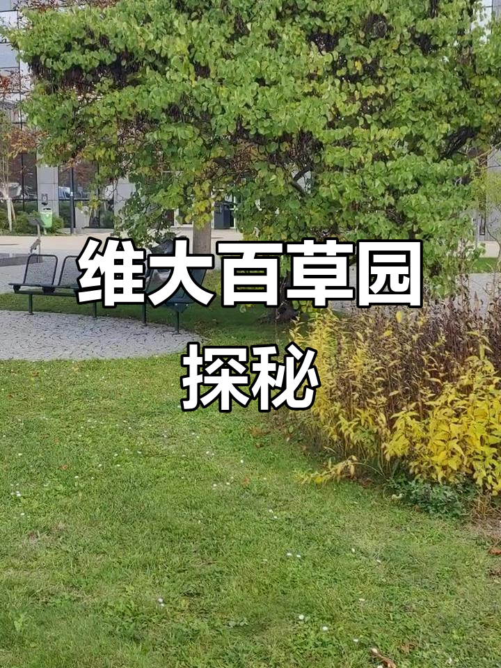 维也纳兽医大学百草园:植物与药材的奇妙世界