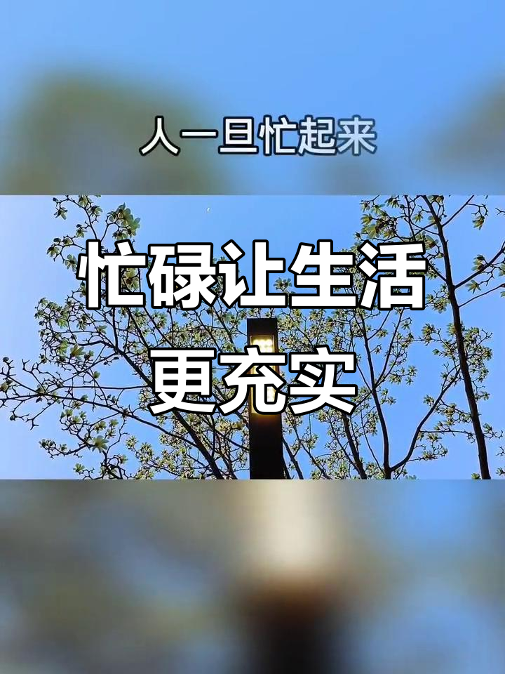忙碌是治愈一切的良药,女人越忙越好