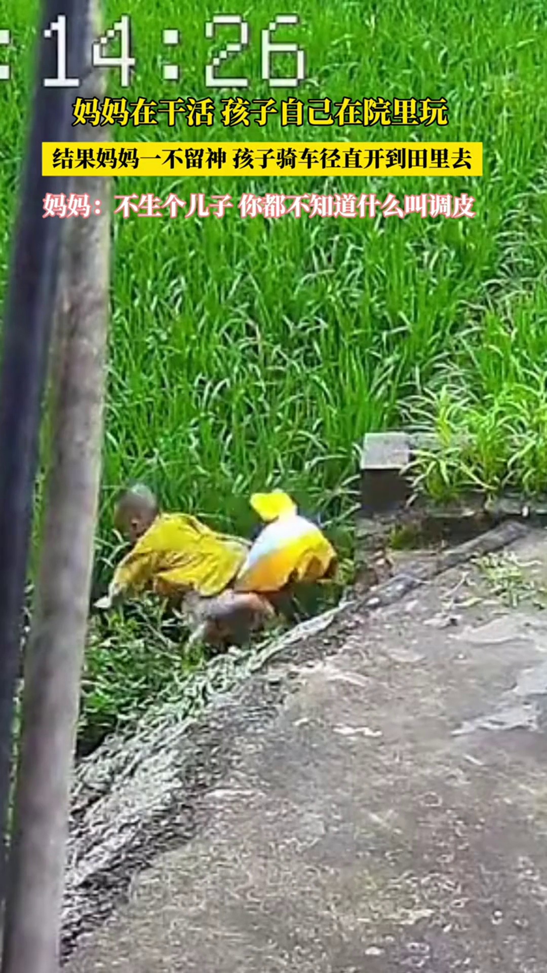 妈妈在干活 孩子自己在院里玩 结果妈妈一不留神 孩子骑车径直开到田