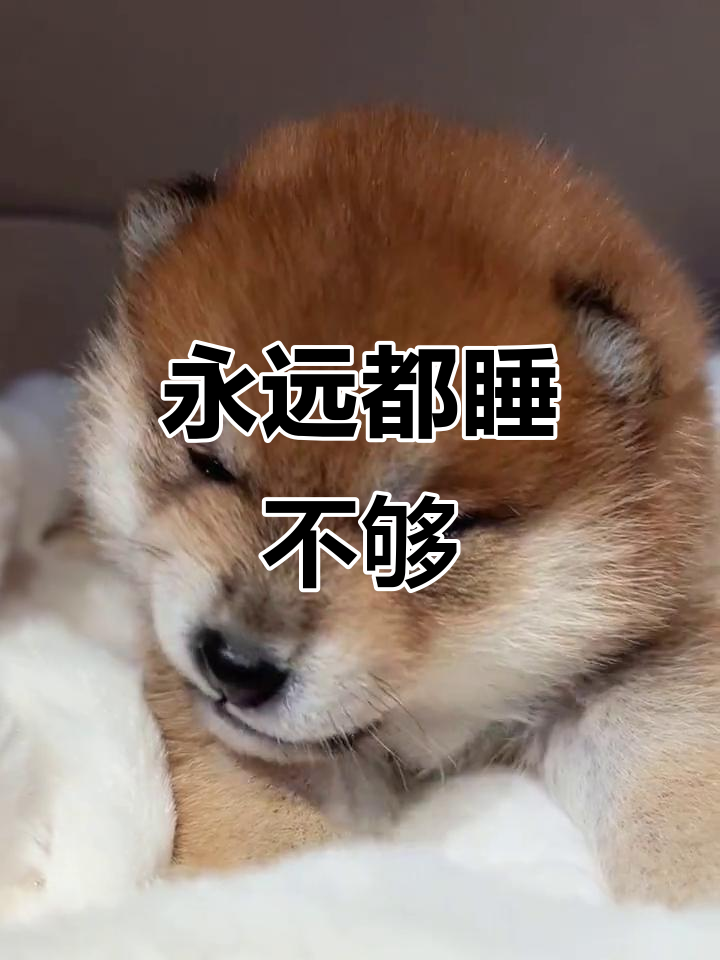 为什么一直很困但是睡不着为什么在线 为什么一直很困但是睡不着为什么在线