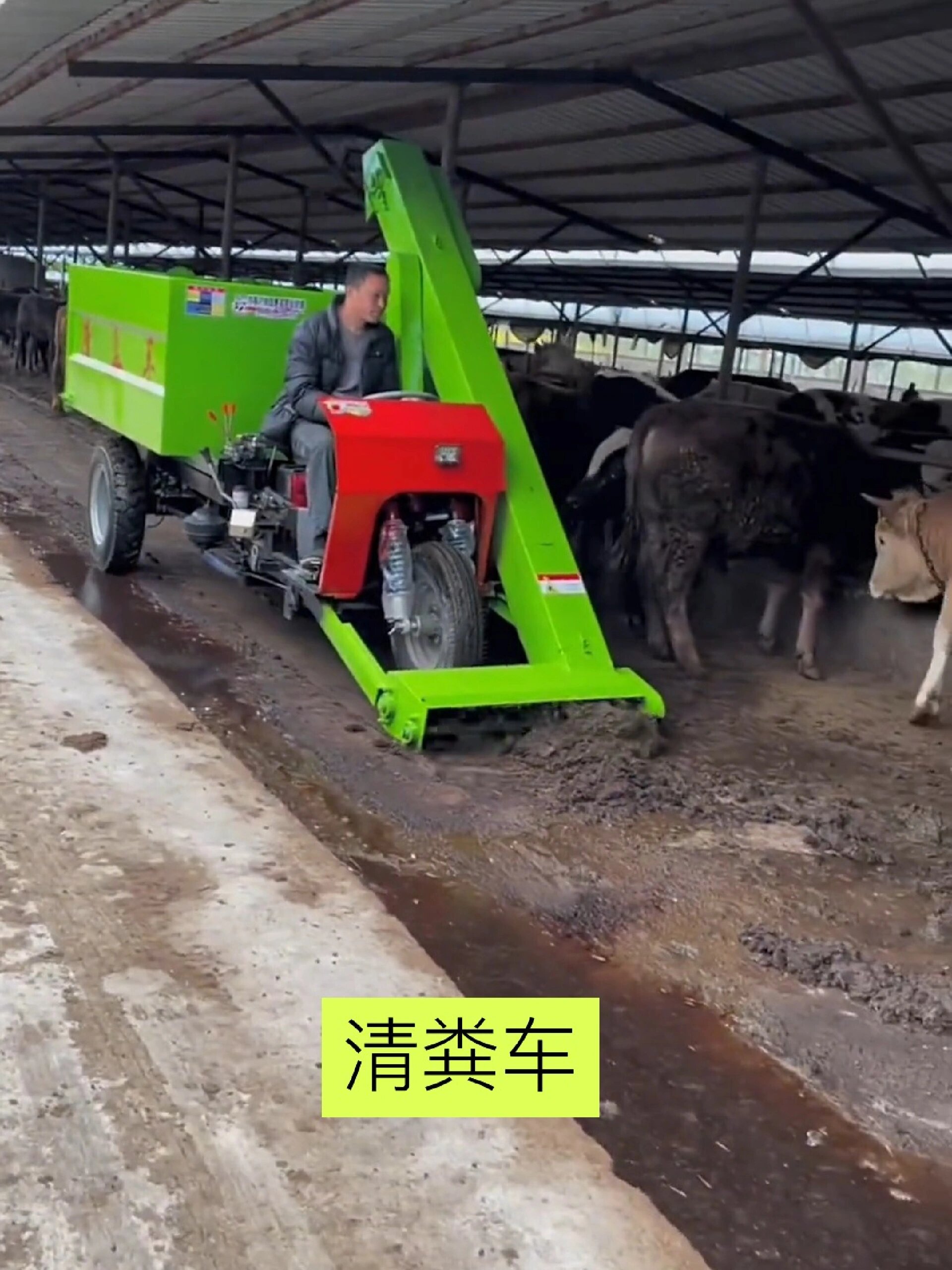 清粪车,牛舍清理工作一人轻松完成!