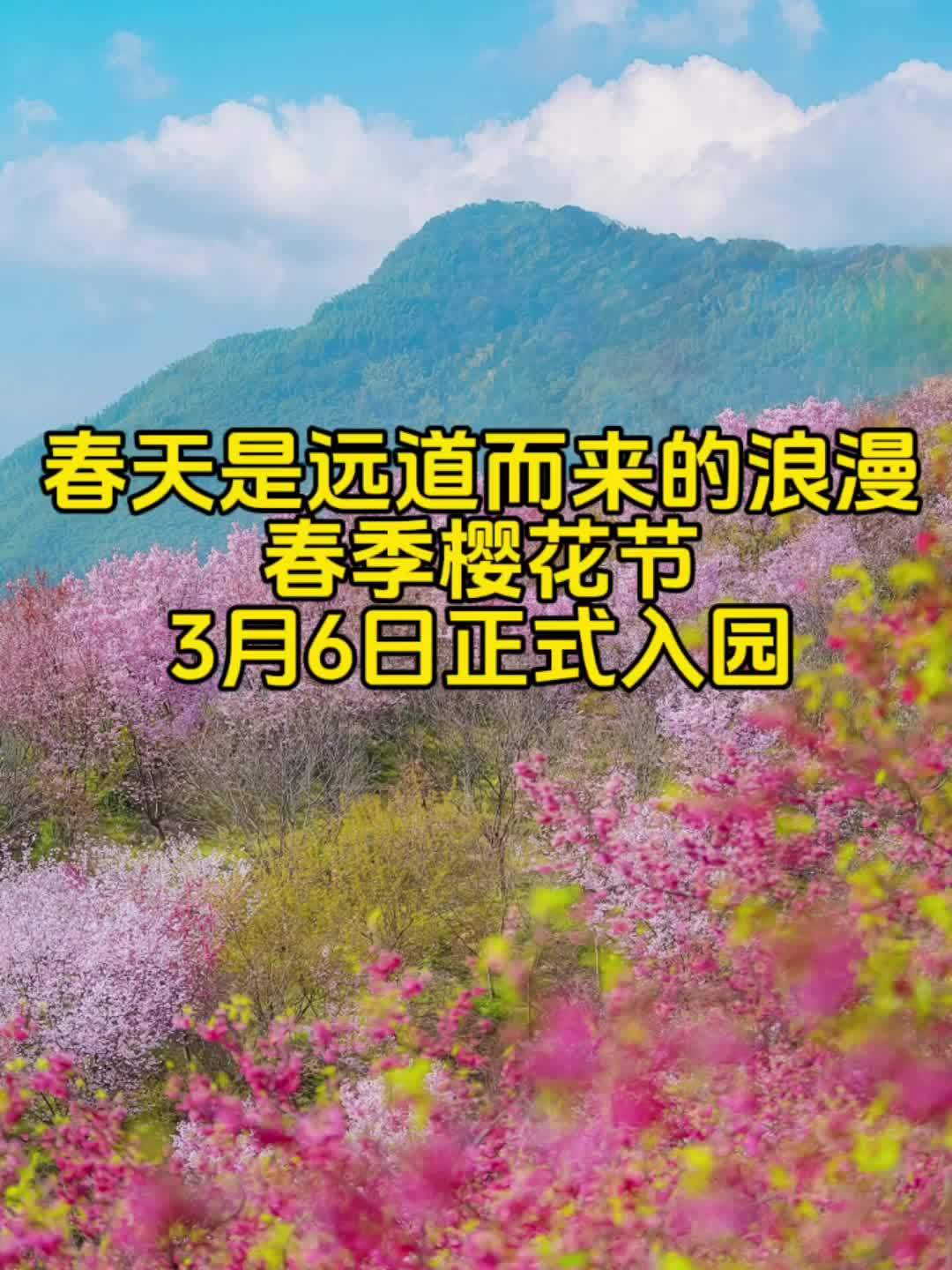 带你去赏花 春暖花开奔你而来 想约你去淋一场樱花雨 想要约你看花海