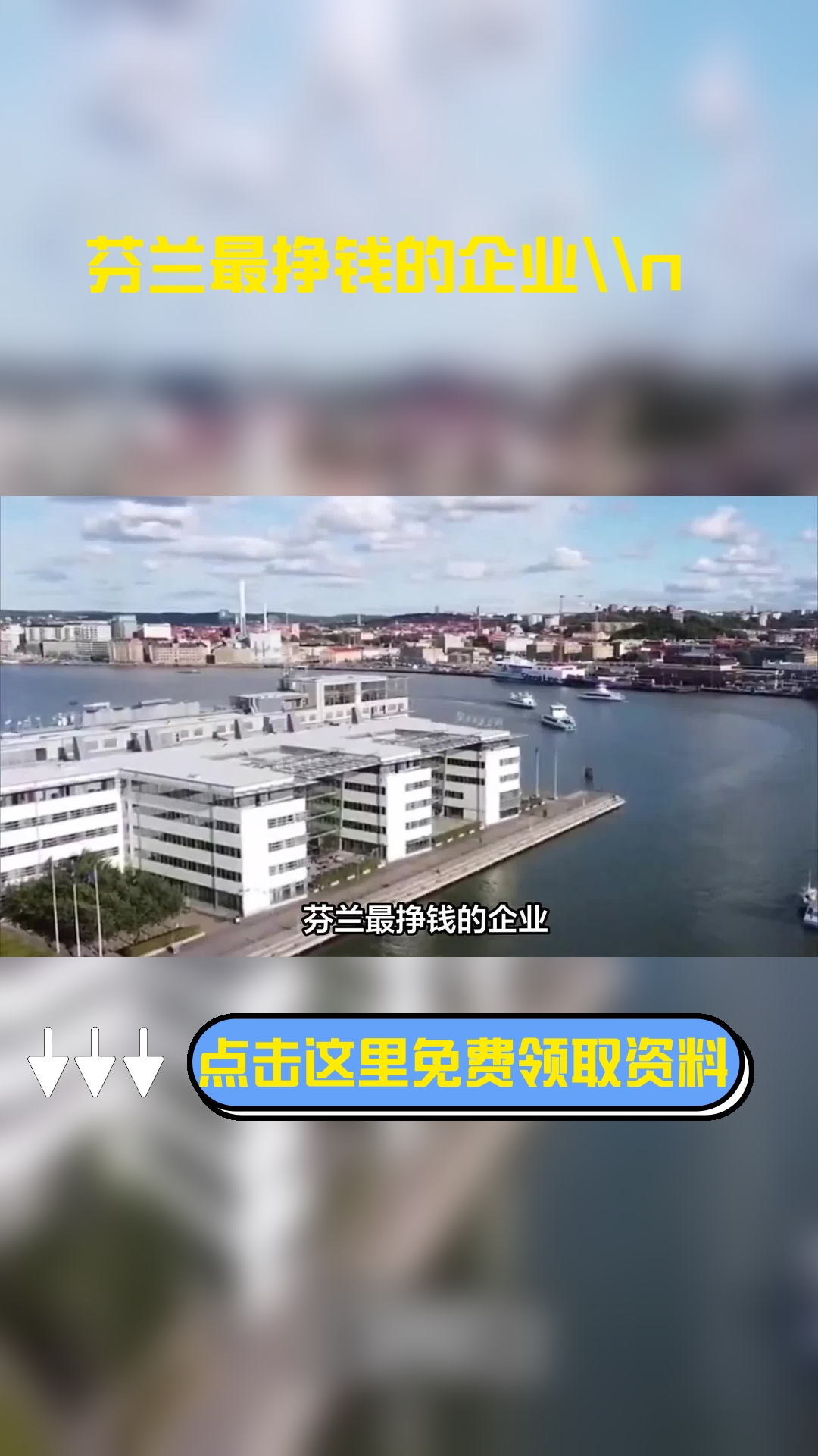 芬兰最挣钱的企业