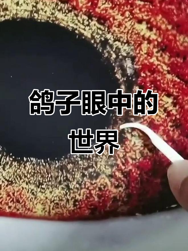 鸽子眼睛里的秘密:距离线与速度线的解析