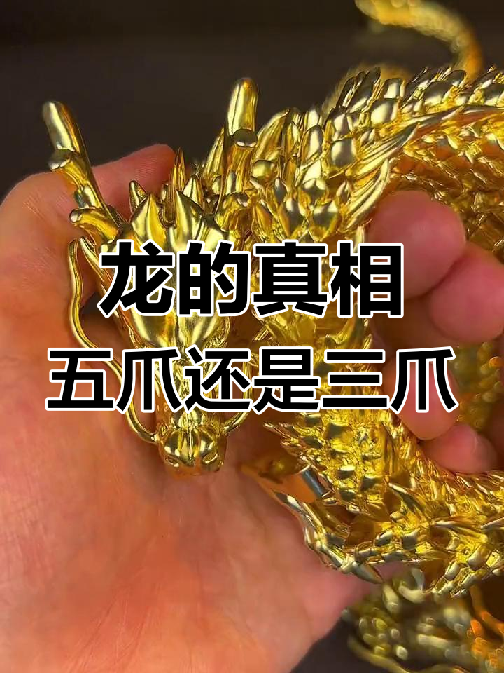 龙到底有没有真身?五爪金龙是否真的存在过