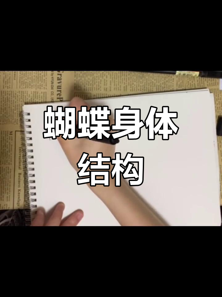 蝴蝶的身体构造解析
