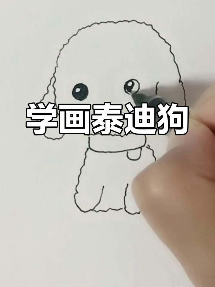 跟刺猬老师一起画泰迪狗,简单又可爱!