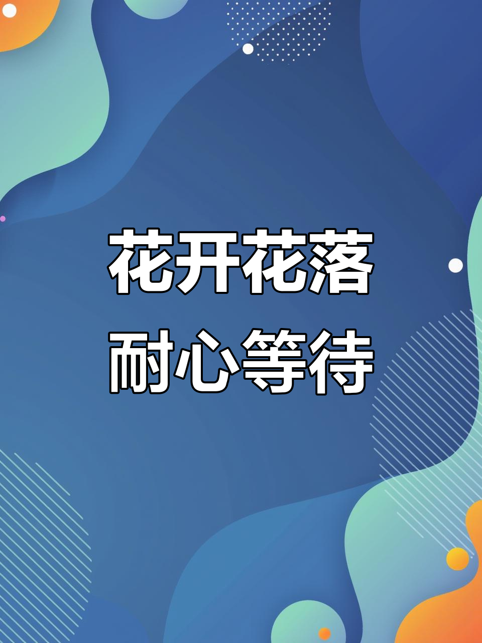 照顾花朵让我懂得耐心与陪伴,等待花开是最美的过程