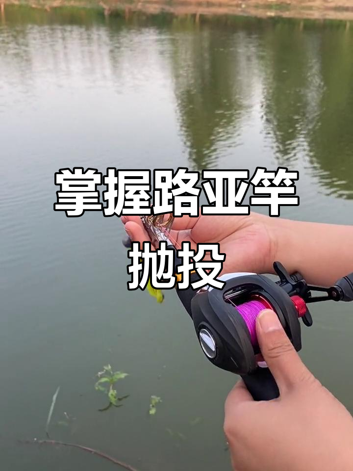 路亚竿操作技巧:如何轻松抛投与调节
