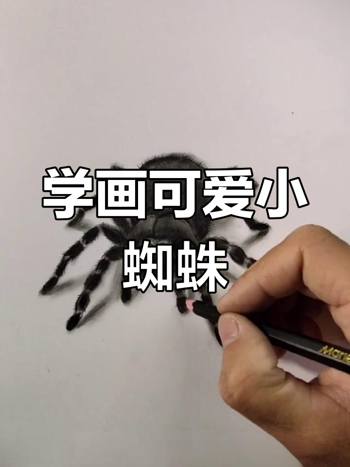 画蜘蛛的简单步骤,轻松学会!