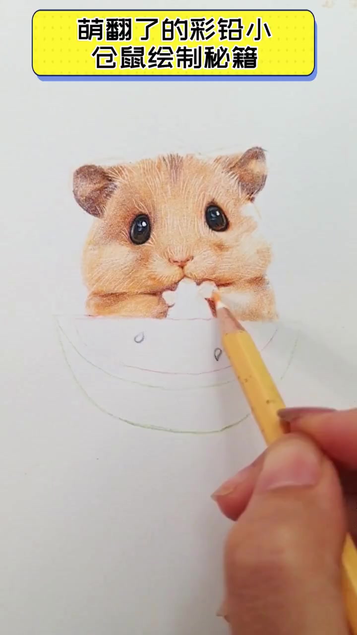 萌翻了的彩铅小仓鼠绘制秘籍