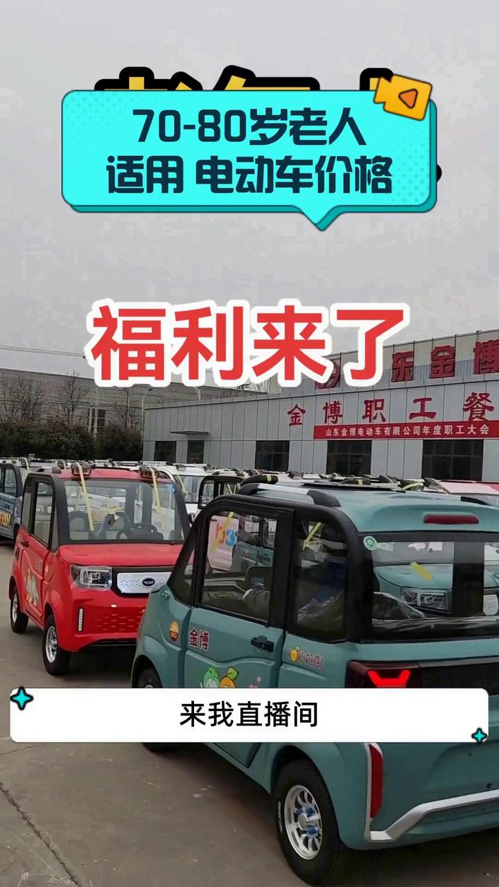 70-80岁老人适用 电动车价格