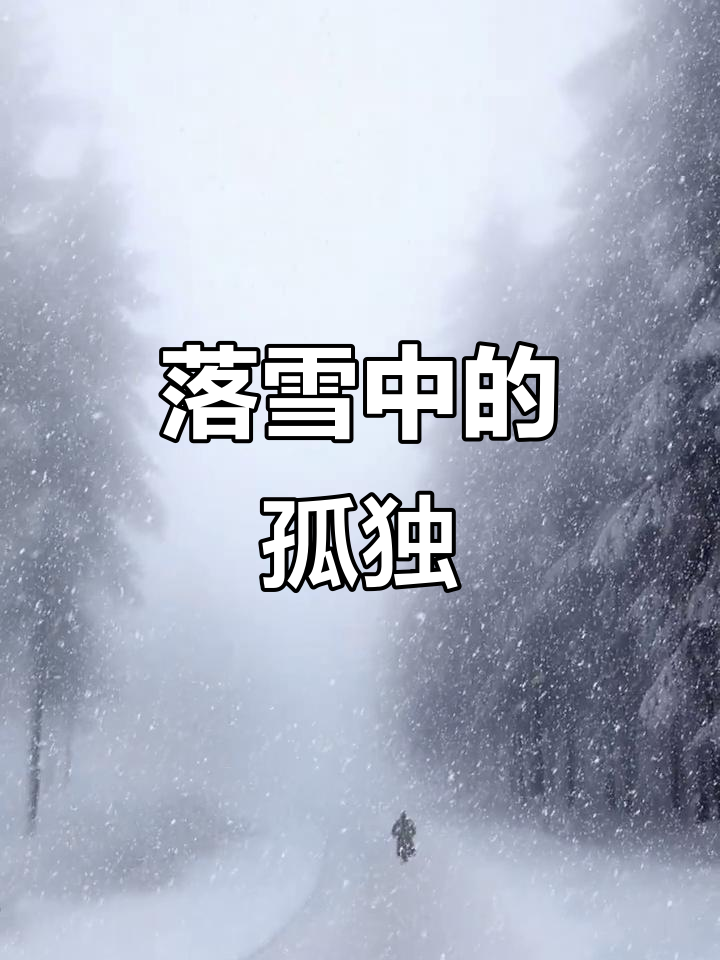 雪中孤影,百年孤独的意境之美