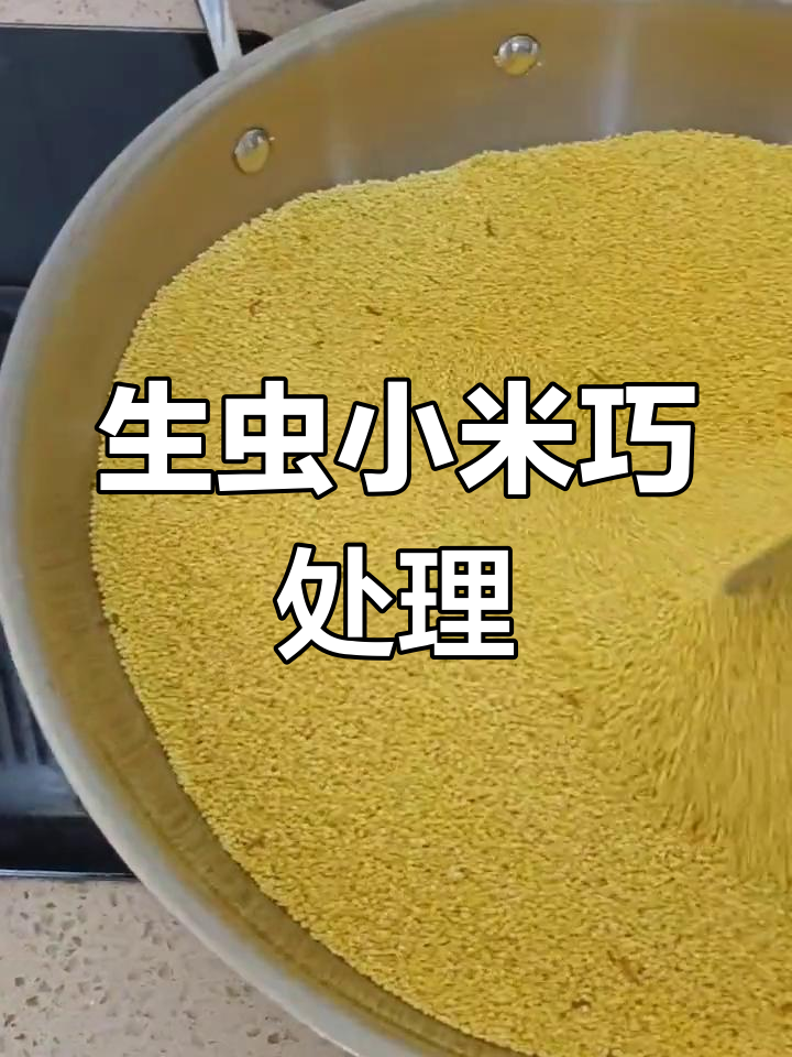 小米生虫别急,炒锅加热轻松解决
