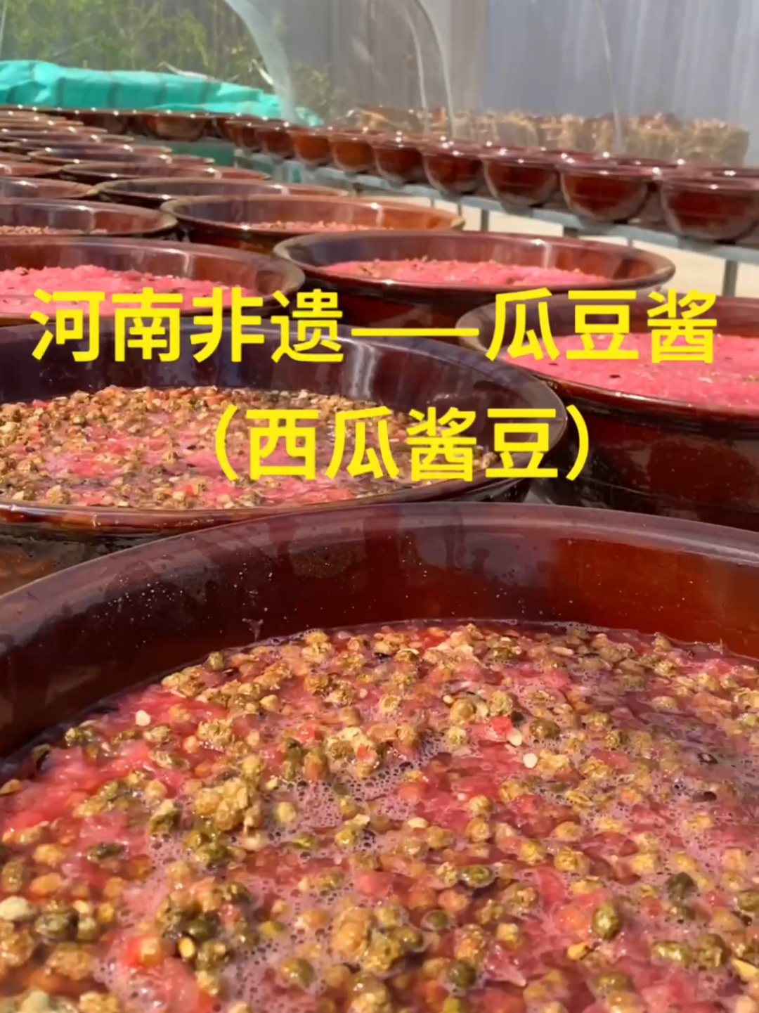 河南非遗美食——瓜豆酱(西瓜酱豆)