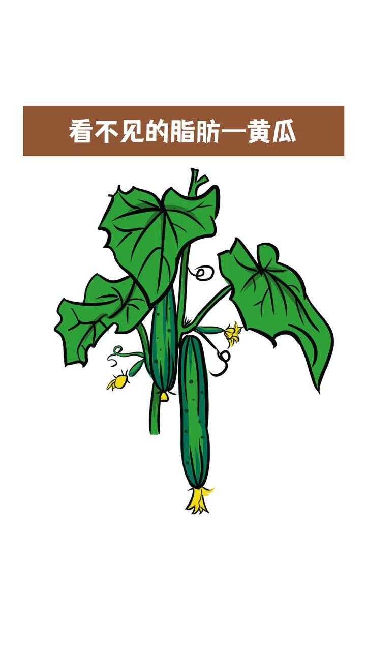 十大超减脂食物黄瓜减脂餐涨知识吃货简笔画