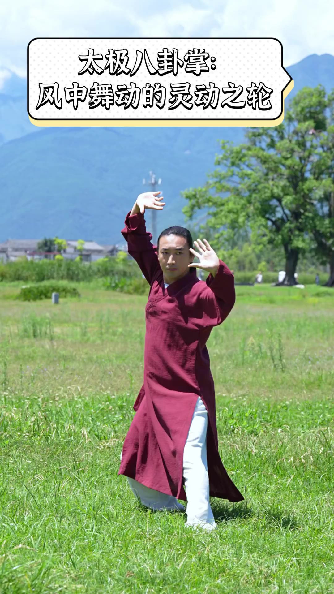 太极八卦掌:风中舞动的灵动之轮