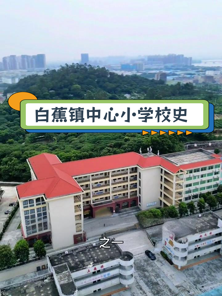 白蕉镇中心小学图片