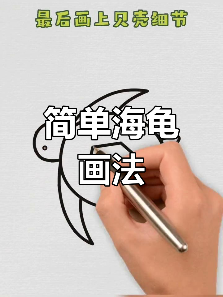 海龟简笔画教程,轻松学会