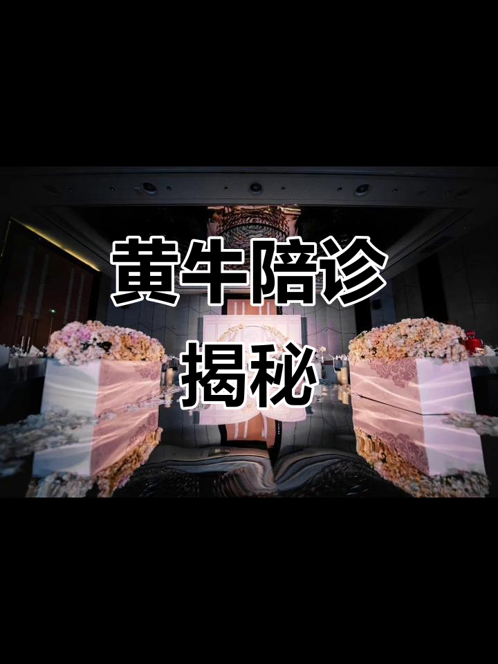包含朝陽醫(yī)院陪診團(tuán)隊(duì)黃牛號(hào)販子代掛的詞條