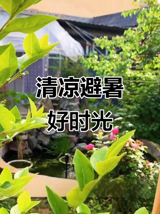 夏日清凉小院,麻辣来风鱼让人陶醉
