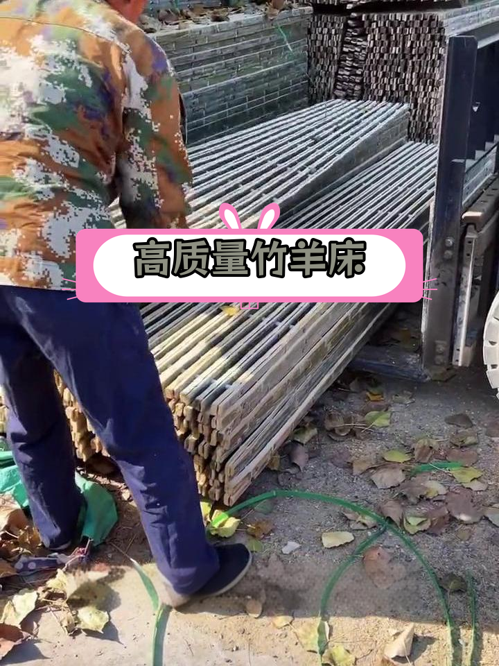 伟隆竹羊床图片